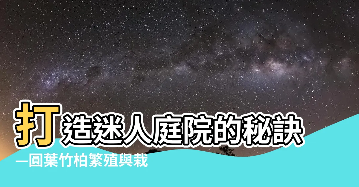 【圓葉竹柏繁殖】打造迷人庭院的秘訣—圓葉竹柏繁殖與栽培技巧