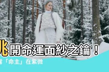 【命主】挑開命運面紗之鑰！揭露「命主」在紫微鬥數中的神秘力量