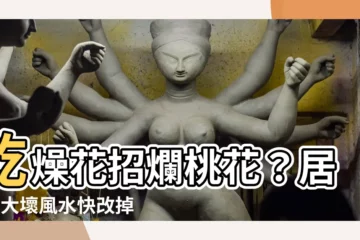 【乾燥花 爛桃花】乾燥花招爛桃花？居家3大壞風水快改掉