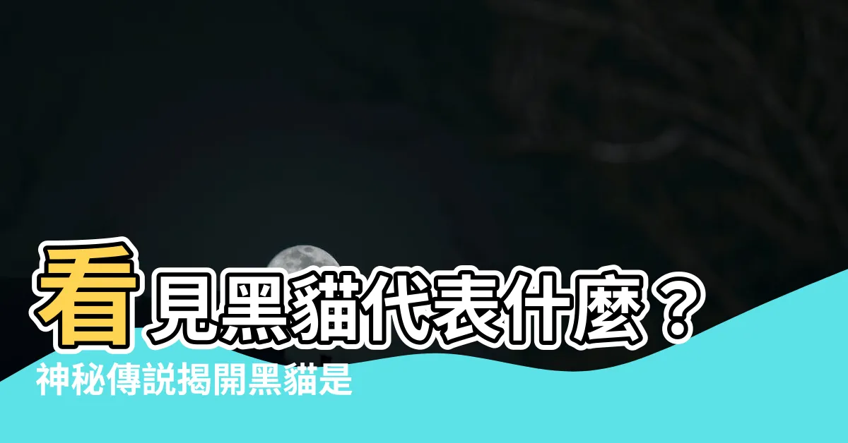 【看見黑貓代表什麼】看見黑貓代表什麼？神秘傳説揭開黑貓是吉利還是厄運的真相！