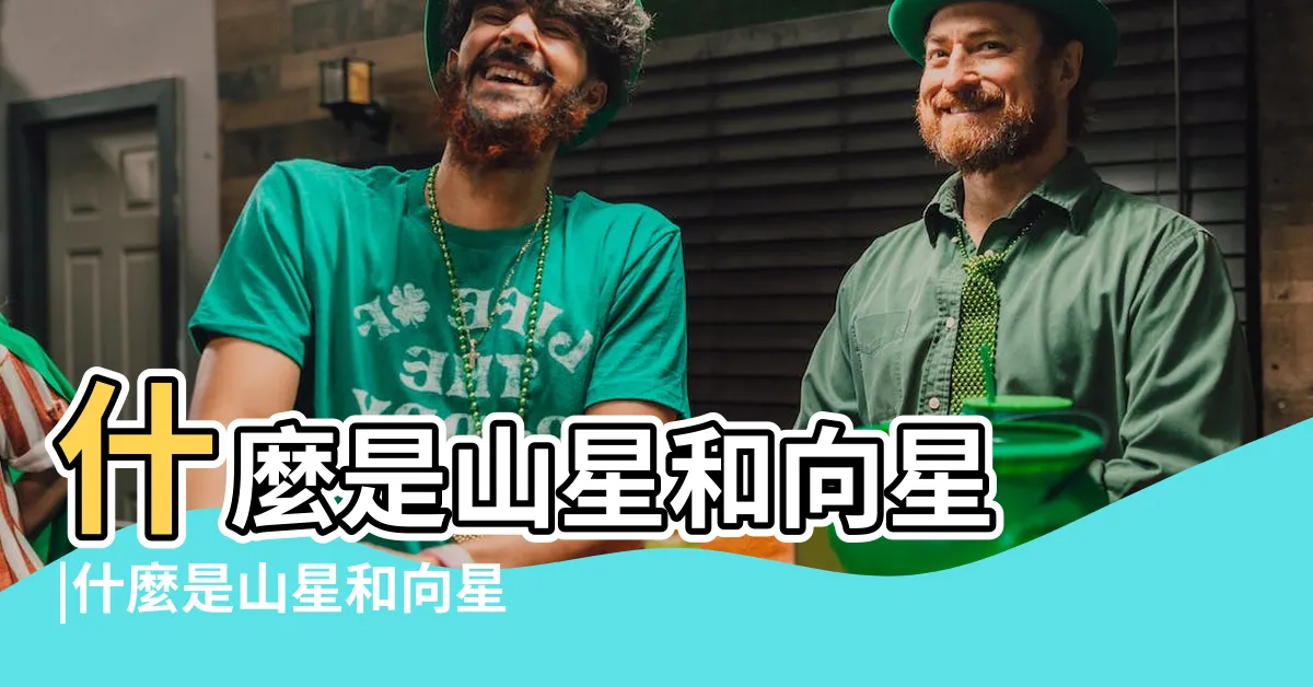【山星】什麼是山星和向星 |什麼是山星和向星 |玄空飛星二十四山吉凶 |
