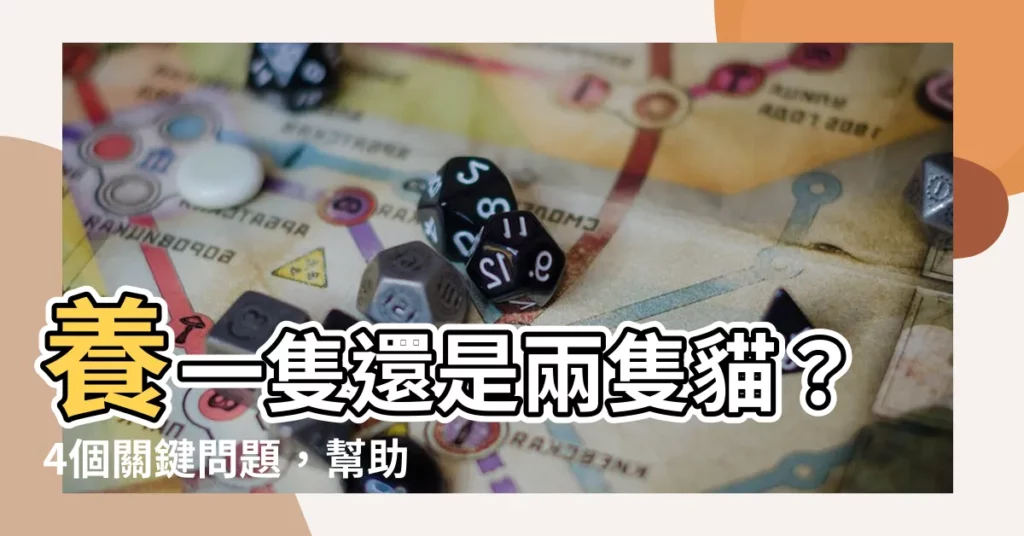 【一隻兩隻】養一隻還是兩隻貓？4個關鍵問題，幫助你做出最佳選擇