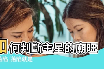 【紫微鬥數落不】如何判斷主星的廟旺與落陷 |落陷就是不好嗎 |紫微斗數廟旺一定代表好 |