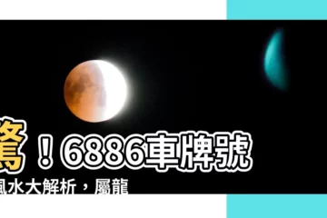 【6886車牌】驚！6886車牌號碼風水大解析，屬龍者財源滾滾！