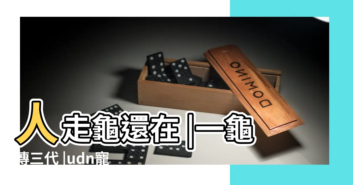 【一龜傳三代】人走龜還在 |一龜傳三代 |udn寵物部落 |