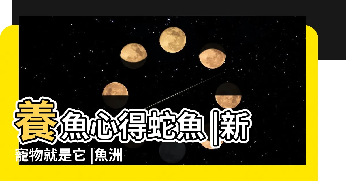 【蛇魚怎麼養】養魚心得蛇魚 |新寵物就是它 |魚洲水族館 |