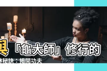 【龜大師】與「龜大師」修行的武林秘訣：揭開功夫熊貓的傳奇智慧