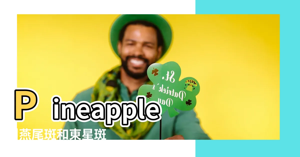 【燕子班】Pineapple |燕尾斑和東星斑哪個貴 |據説這種魚可以提高記憶力 |