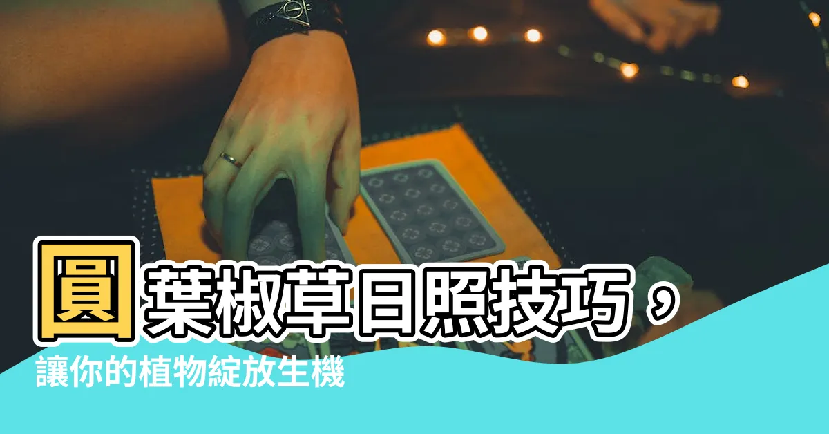【圓葉椒草日照】圓葉椒草日照技巧，讓你的植物綻放生機</h1