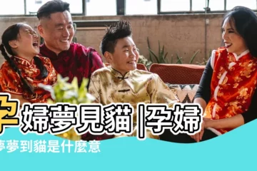 【孕婦夢到懷孕的貓説明什麼】孕婦夢見貓 |孕婦做夢夢到貓是什麼意思孕婦夢見貓是什麼預兆 |孕婦夢到貓是胎夢嗎 |
