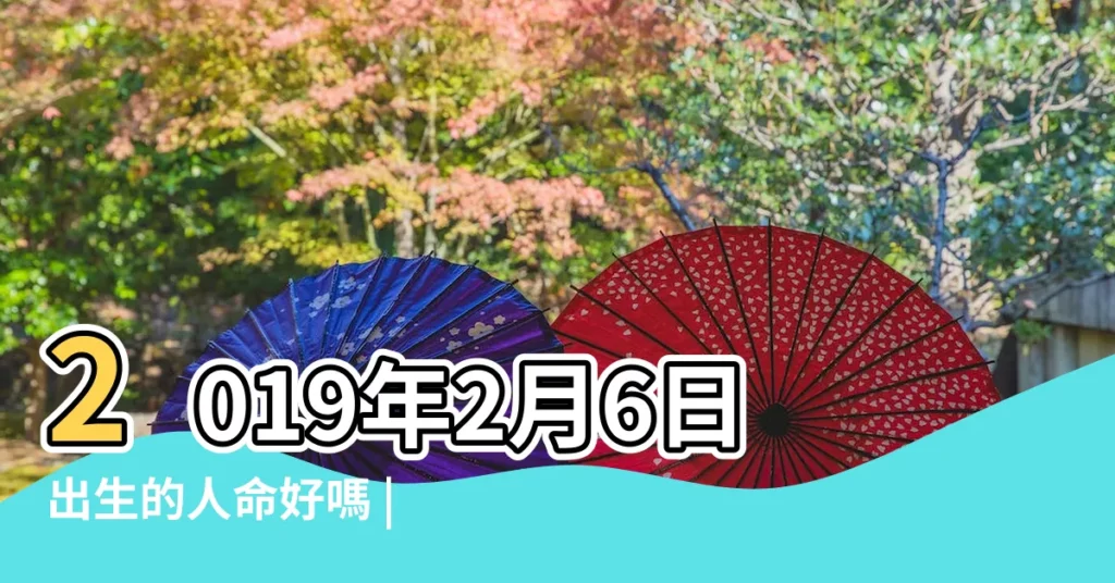 2019年2月6日出生的人命好嗎 |是什麼命 |2019年2月6日出生日期看命運 |【2019年2月6號生】