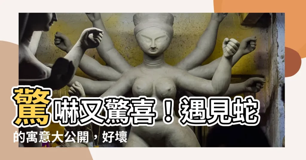 【遇見蛇】驚嚇又驚喜！遇見蛇的寓意大公開，好壞讓你一目瞭然