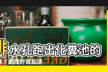 【排水孔跑出化糞池的臭味】排水孔跑出化糞池的臭味？處理好就能速速解決！