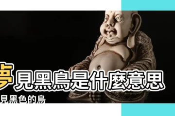 【周公解夢夢見大黑鳥】夢見黑鳥是什麼意思 |夢見黑色的鳥 |夢見黑色鳥 |