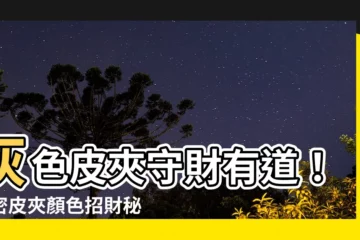 【灰色皮夾好嗎】灰色皮夾守財有道！揭密皮夾顏色招財秘密，換對顏色財庫滿滿