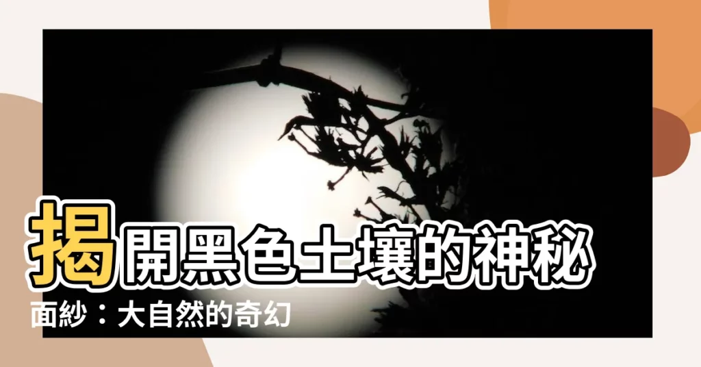 【黑色土壤】揭開黑色土壤的神秘面紗：大自然的奇幻色彩
