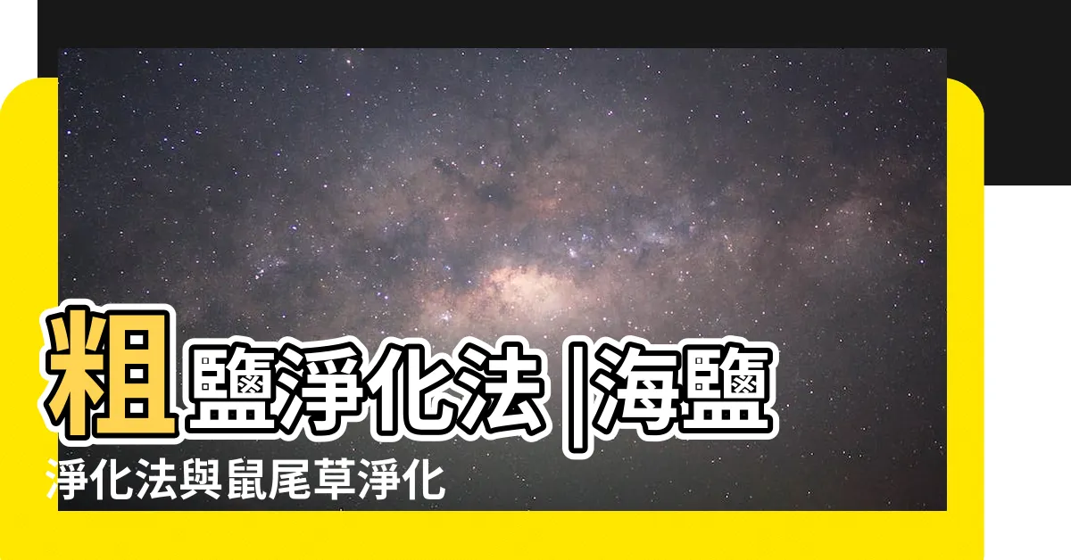 【淨化粗鹽】粗鹽淨化法 |海鹽淨化法與鼠尾草淨化法 |辦公室淨化居家淨化車關意外淨化個人淨化水晶淨化 |