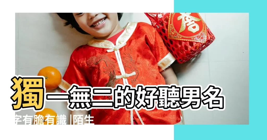 獨一無二的好聽男名字有膽有識 |陌生人你好 |沛和哪個字組名字 |【柔和什麼字組名字好聽】