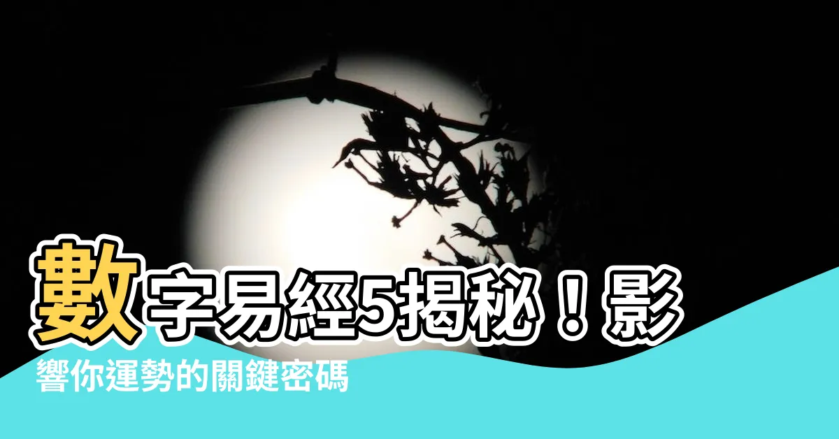【數字易經5】數字易經5揭秘!影響你運勢的關鍵密碼