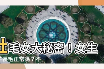 【肚毛女】肚毛女大秘密！女生肚子長毛正常嗎？不讓性感打扮誤露尷尬毛毛
