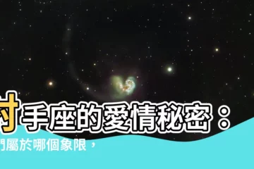 【射手 什麼象】射手座的愛情秘密：他們屬於哪個象限，如何與他們相處