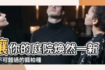【龍柏種植】讓你的庭院煥然一新！不可錯過的龍柏種植指南