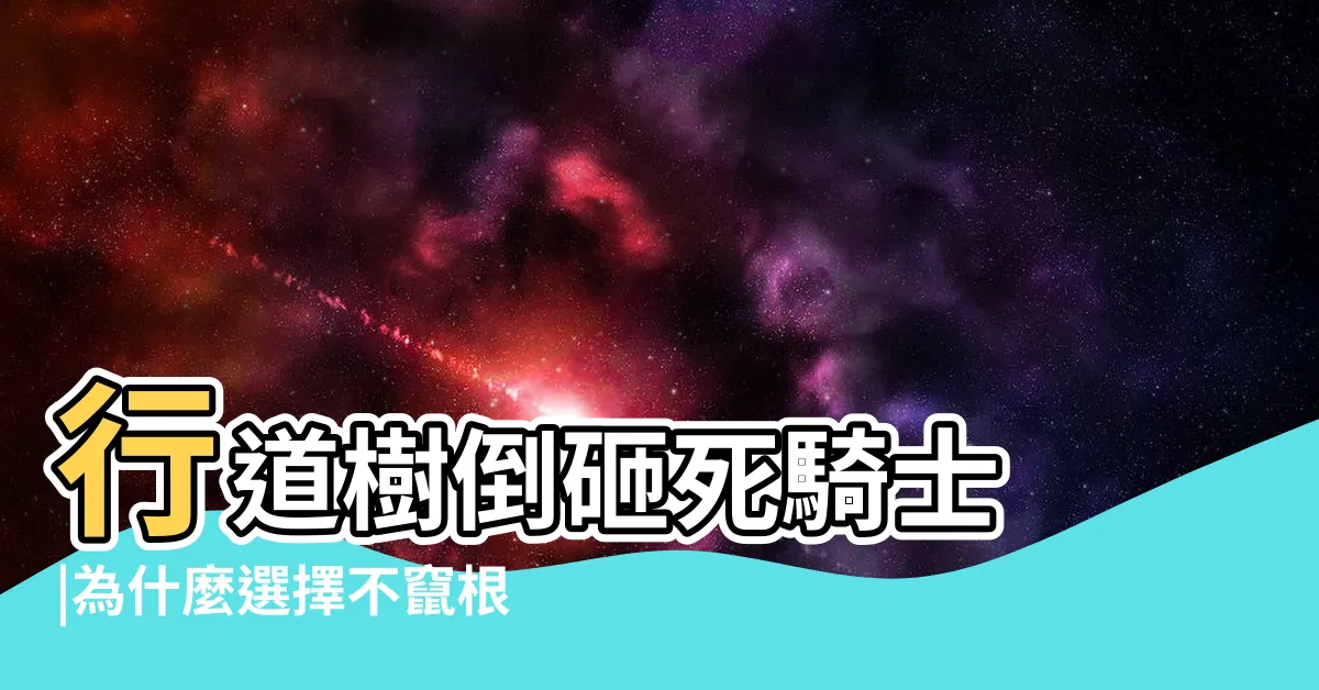 【不會竄根的樹】行道樹倒砸死騎士 |為什麼選擇不竄根的羅漢松是大樓中庭綠美化的最佳選擇 |7類樹列入北市黑名單 |