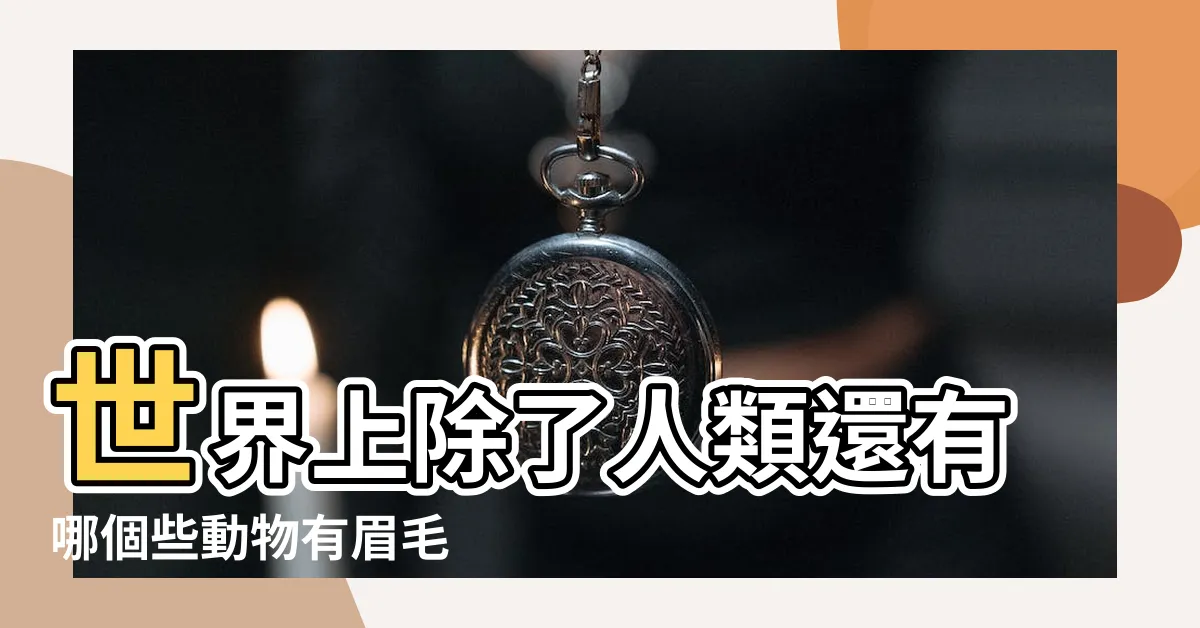 【動物 眉毛】世界上除了人類還有哪個些動物有眉毛 |所有動物中是不是只有人類有眉毛 |世界上除了人類還有哪個些動物有眉毛 |