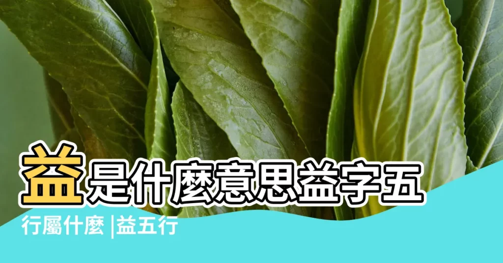 益是什麼意思益字五行屬什麼 |益五行屬什麼的 |益的意思 |【益字五行】