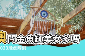 【澳門金魚缸2023】澳門金魚缸美女多嗎？2023飛虎隊到打令魚室實錄（精選6張）