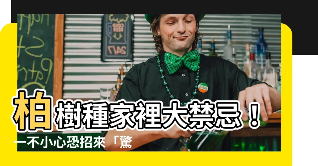 【柏樹禁忌】柏樹種家裡大禁忌！一不小心恐招來「驚人」後果