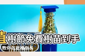 【怎麼種樹】植樹節免費樹苗到手啦！教你怎麼種樹長得又快又好，秒變綠手指！