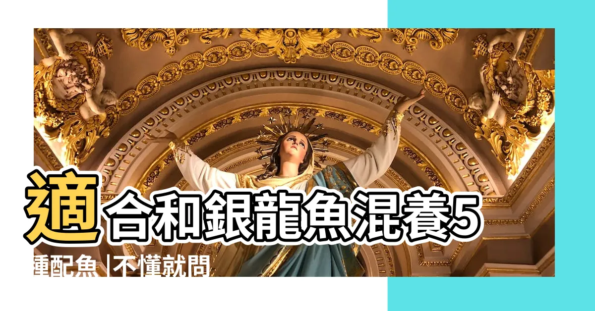 【可與龍魚混養的魚】適合和銀龍魚混養5種配魚 |不懂就問 |其實有很多 |