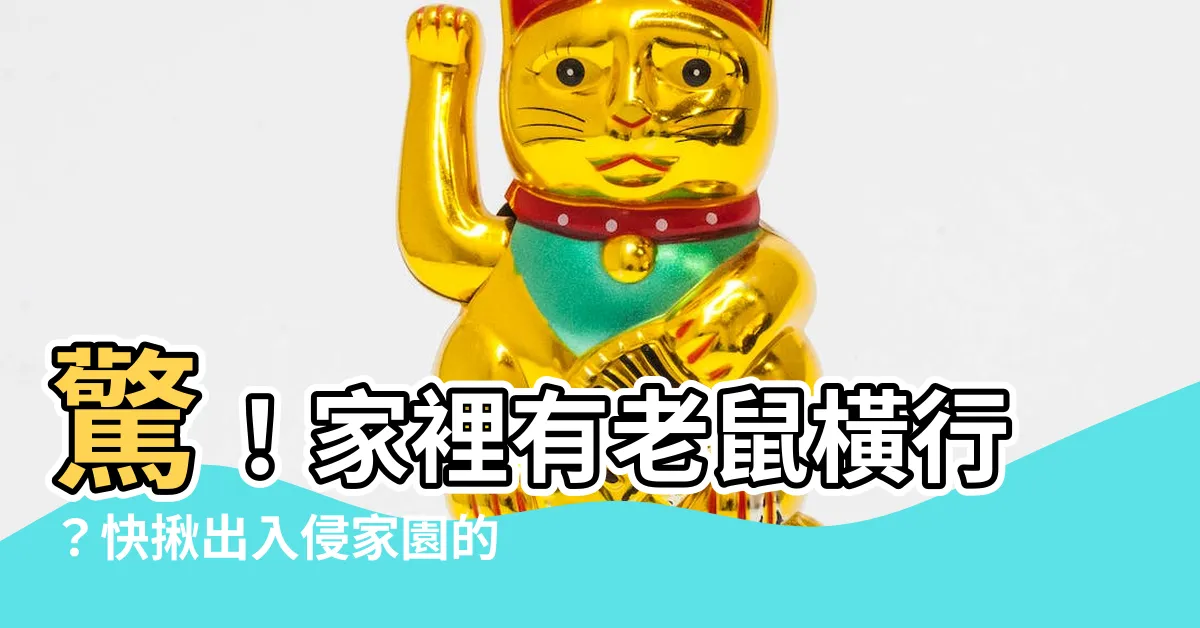 【家裡為什麼有老鼠】驚！家裡有老鼠橫行？快揪出入侵家園的牠們
