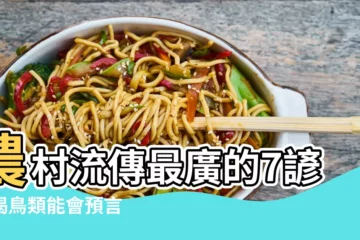 【喜鵲飛到頭上樹上叫】農村流傳最廣的7諺語揭鳥類能會預言 |有鵲來兮 |喜鵲叫有什麼兆頭喜鵲叫吉凶時間 |