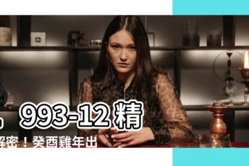 【1993-12】1993-12 精確解密！癸酉雞年出生者的運勢與命盤！