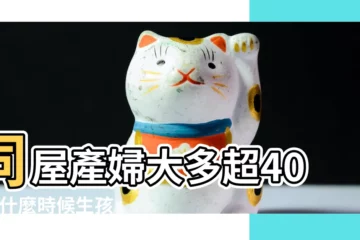 【2018.11.13生孩子好嗎】同屋產婦大多超40歲 |什麼時候生孩子最好 |我生孩子的時候 |