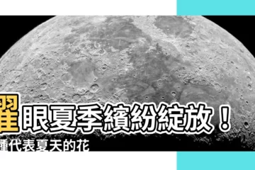 【代表夏天的花】耀眼夏季繽紛綻放！10種代表夏天的花卉，打造你的夢幻花園吧！