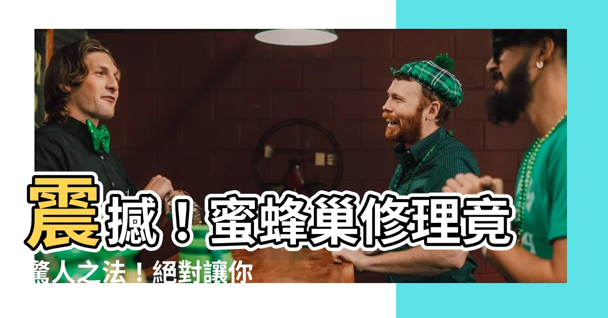 【蜜蜂巢】震撼！蜜蜂巢修理竟驚人之法！絕對讓你目瞪口呆！