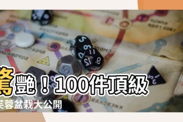 【樹芙蓉】驚艷！100件頂級樹芙蓉盆栽大公開