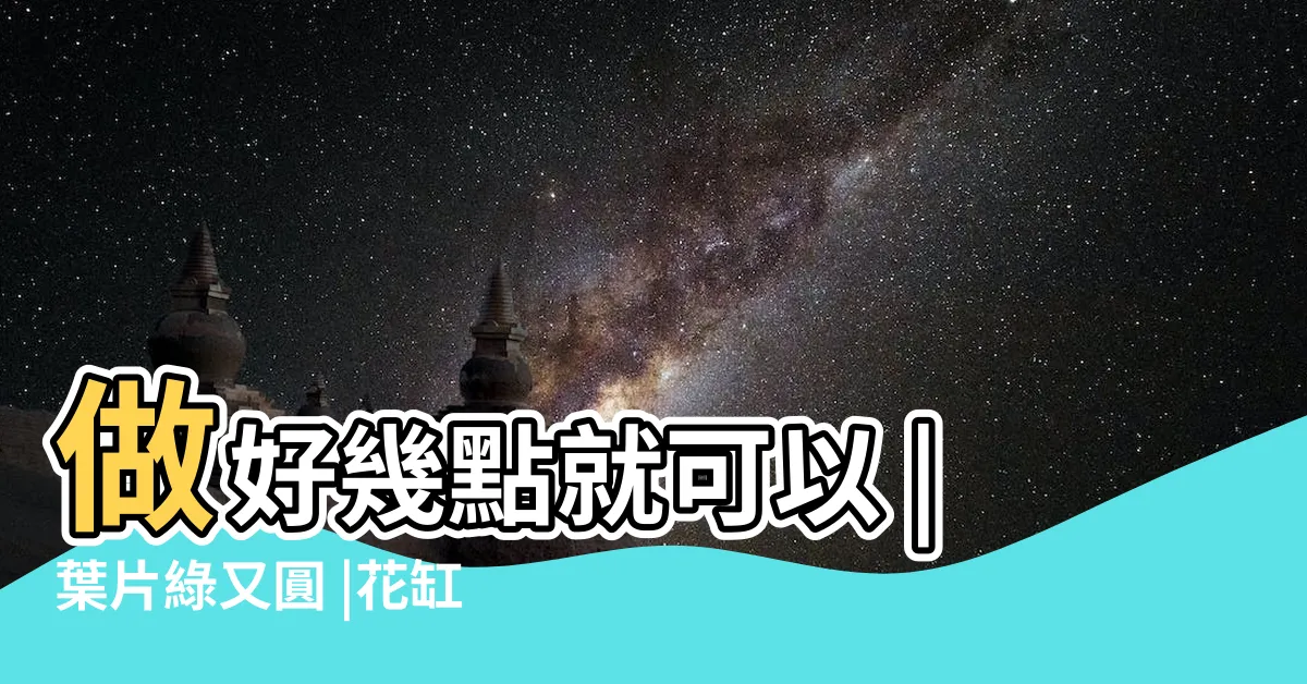 【銅錢草陽台】做好幾點就可以 |葉片綠又圓 |花缸爆滿 |