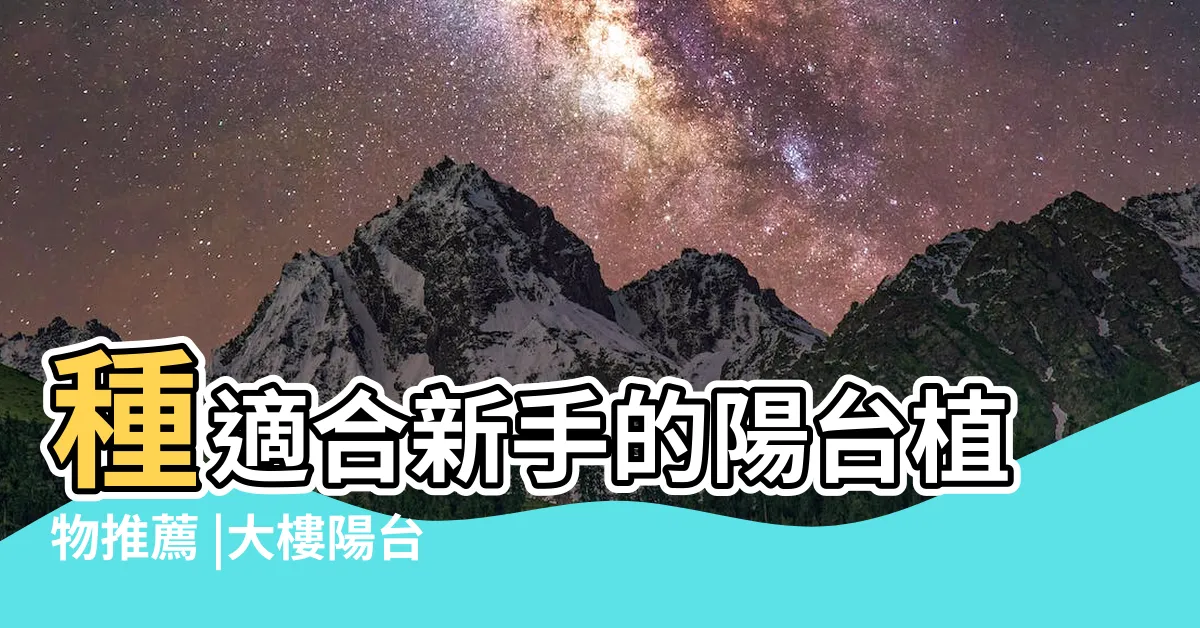 【陽台盆栽植物】種適合新手的陽台植物推薦 |大樓陽台植物 |你家陽台方位適合 |