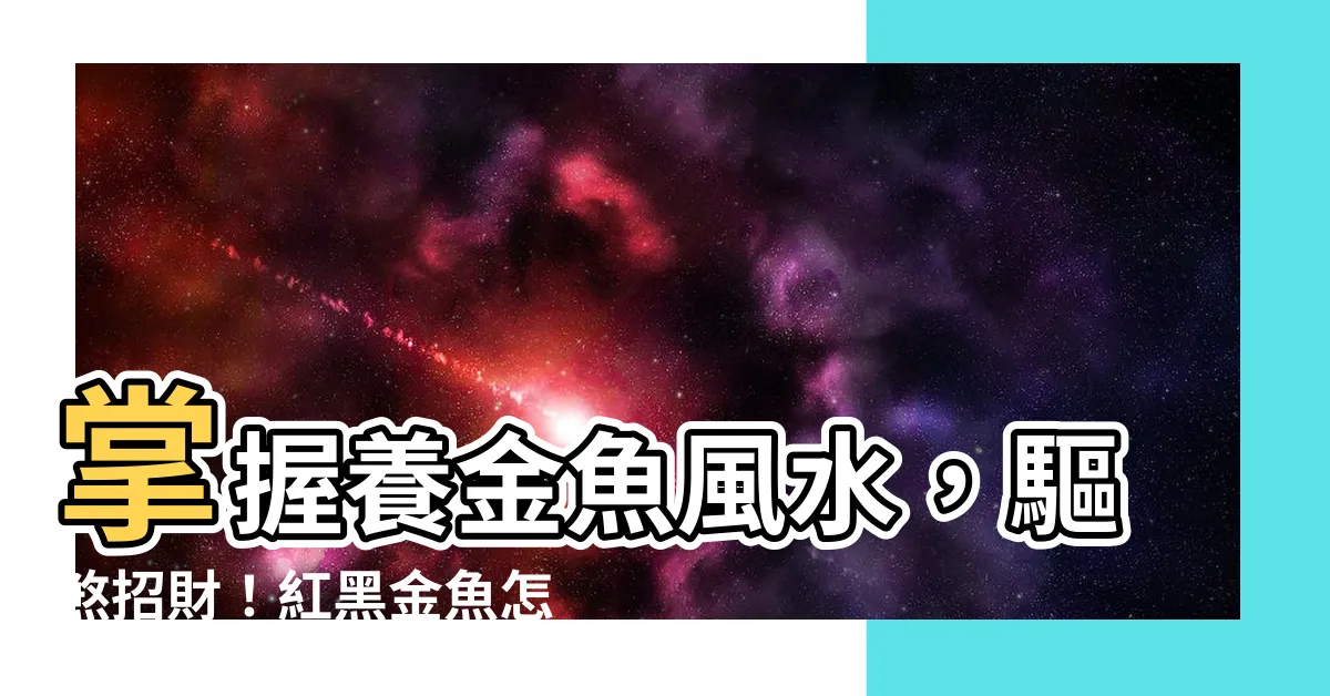【金魚擋煞】掌握養金魚風水，驅煞招財！紅黑金魚怎麼養？