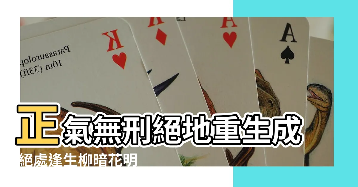 【正氣無刑】正氣無刑絕地重生成 絕處逢生柳暗花明