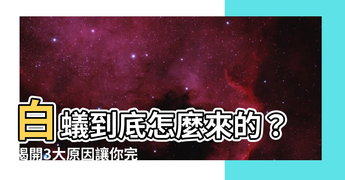 【白蟻怎麼來的】白蟻到底怎麼來的？揭開3大原因讓你完全瞭解！