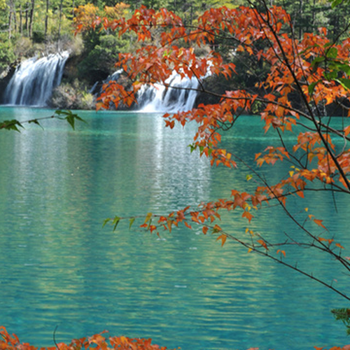 2、財務管理雞湯