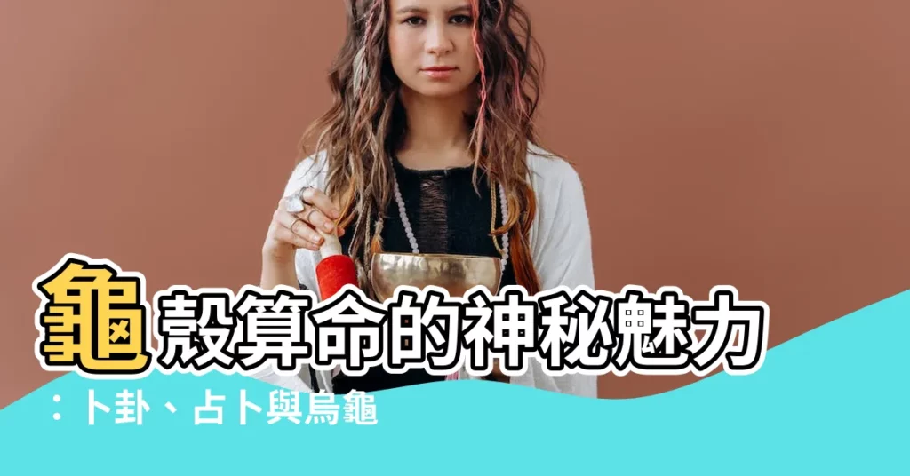 【龜殼算命】龜殼算命的神秘魅力：卜卦、占卜與烏龜的玄妙連結