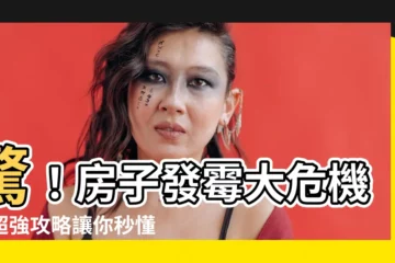 【房子發黴】驚！房子發黴大危機！超強攻略讓你秒懂如何終結黴菌侵襲