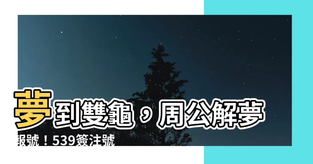 【夢到兩隻烏龜幾號】夢到雙龜，周公解夢報號！539簽注號碼絕不藏私全公開