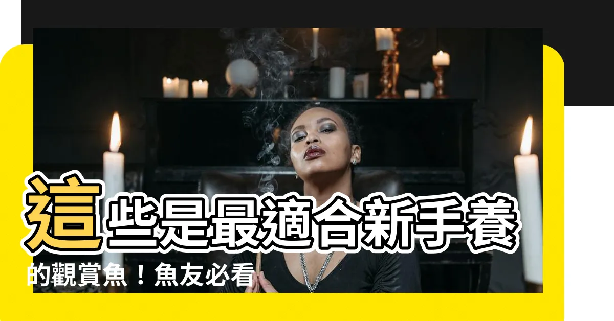 【最好養的魚】這些是最適合新手養的觀賞魚！魚友必看的入門指南！